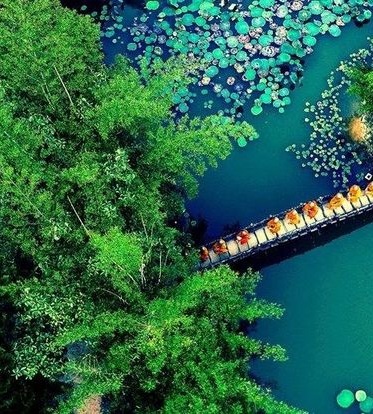 Huyen Khong Son Thuong Pagoda main activites