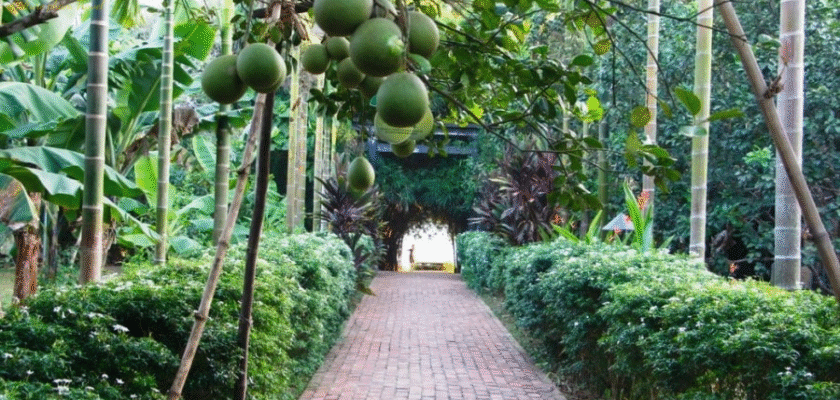 Thuy Bieu Village
